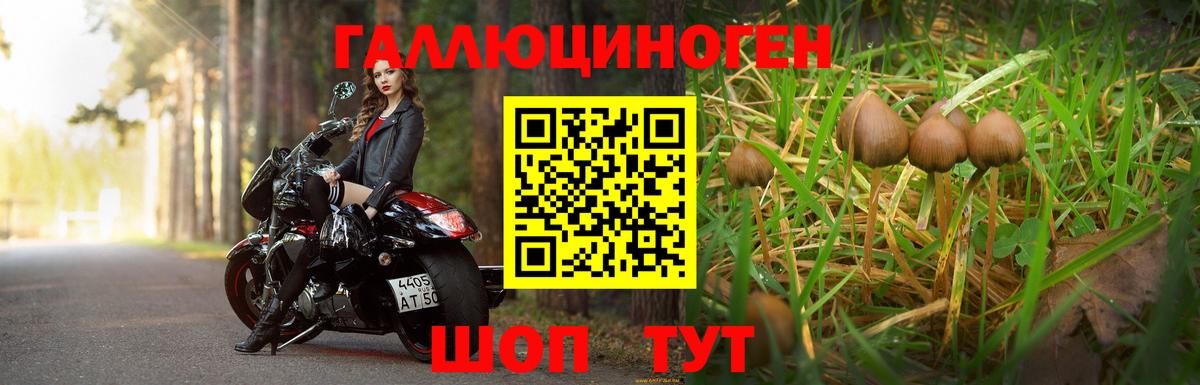 Галлюциногенные грибы MAGIC MUSHROOMS Черкесск